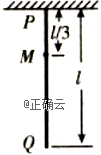 www.xiangpi.com
