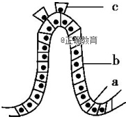 www.xiangpi.com