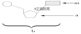 www.xiangpi.com