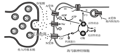 www.xiangpi.com