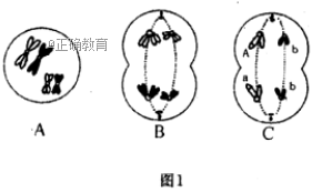 www.xiangpi.com