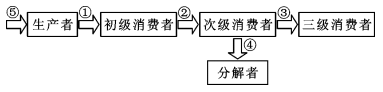 www.xiangpi.com