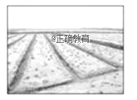 www.xiangpi.com