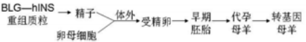www.xiangpi.com