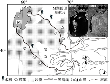 www.xiangpi.com