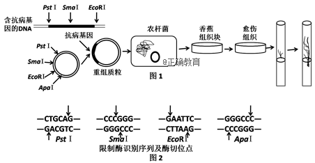 www.xiangpi.com