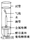www.xiangpi.com