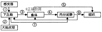 www.xiangpi.com