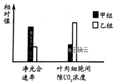 www.xiangpi.com