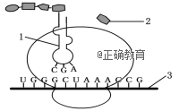 www.xiangpi.com