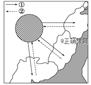 www.xiangpi.com