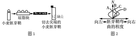 www.xiangpi.com