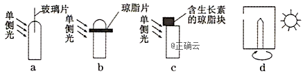 www.xiangpi.com