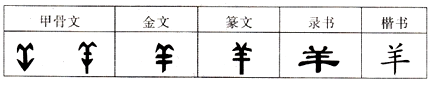www.xiangpi.com