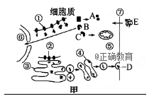 www.xiangpi.com