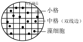 www.xiangpi.com