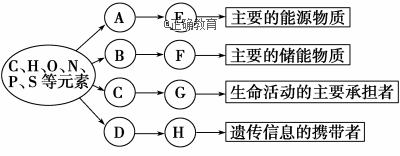 www.xiangpi.com