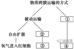 www.xiangpi.com