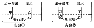 www.xiangpi.com