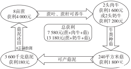 www.xiangpi.com