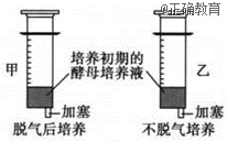 www.xiangpi.com