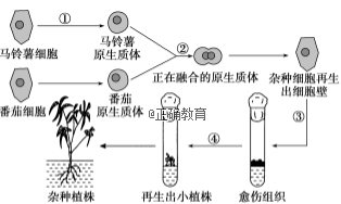 www.xiangpi.com