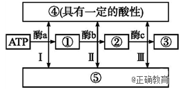 www.xiangpi.com