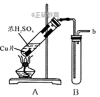 www.xiangpi.com