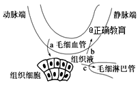 www.xiangpi.com