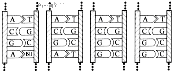 www.xiangpi.com