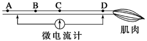 www.xiangpi.com