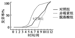 www.xiangpi.com