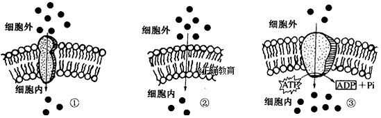 www.xiangpi.com