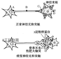 www.xiangpi.com