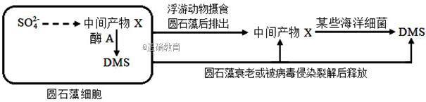 www.xiangpi.com