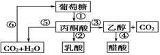 www.xiangpi.com