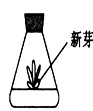 www.xiangpi.com