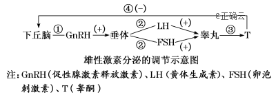 www.xiangpi.com