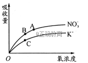 www.xiangpi.com
