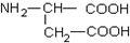 www.xiangpi.com