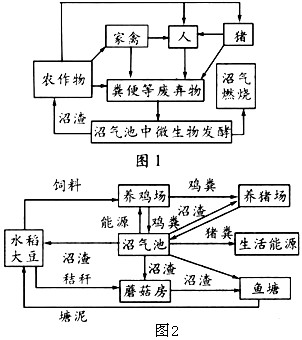 下图1是某生态农业的结构模式图,图2是以沼气为中心,以保护生态环境为