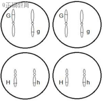 www.xiangpi.com
