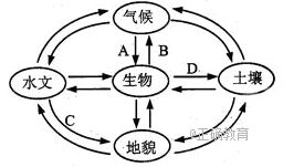 www.xiangpi.com