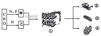 www.xiangpi.com