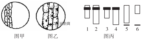www.xiangpi.com
