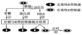 www.xiangpi.com