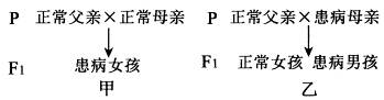 www.xiangpi.com