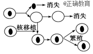 www.xiangpi.com