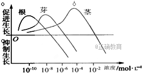 www.xiangpi.com