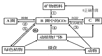 www.xiangpi.com